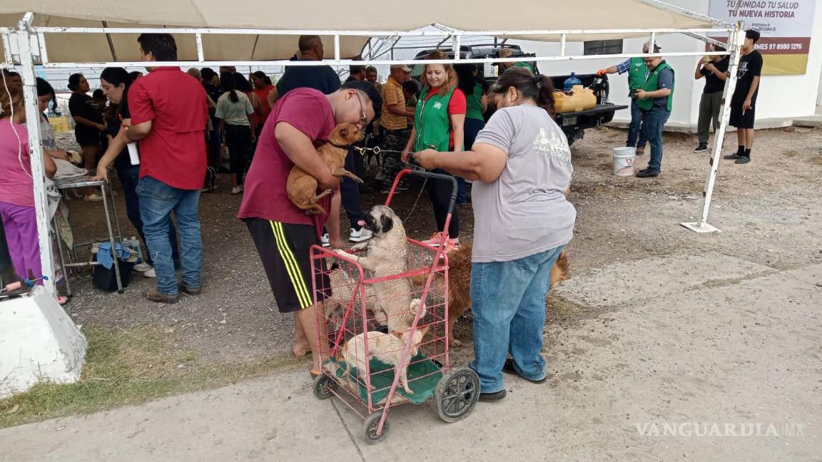 $!Los vecinos de la colonia Los Montes disfrutan de servicios gratuitos para sus mascotas, como vacunación y baños medicados.