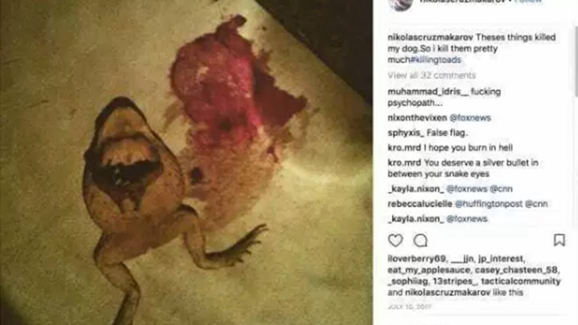 $!Sale a la luz Instagram del autor de masacre en Florida; ¡estaba obsesionado con las armas!