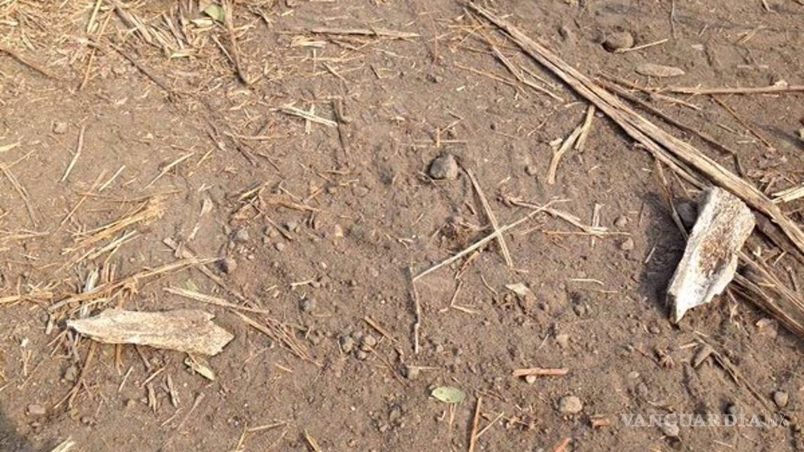 $!Fiscalía de Morelos rompió su propio protocolo al exhumar fosas de Tetelcingo