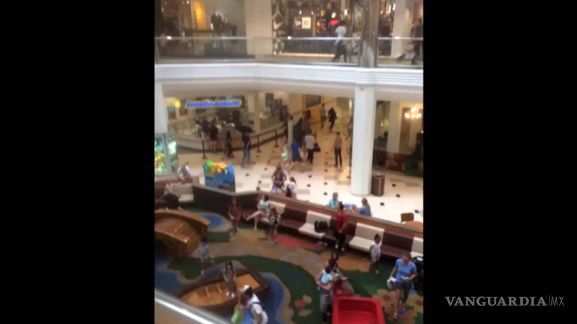 Robo en centro comercial de Michigan causa pánico