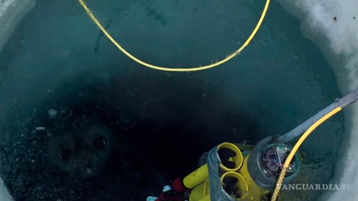 $!Robot submarino revela una Antártida llena de vida
