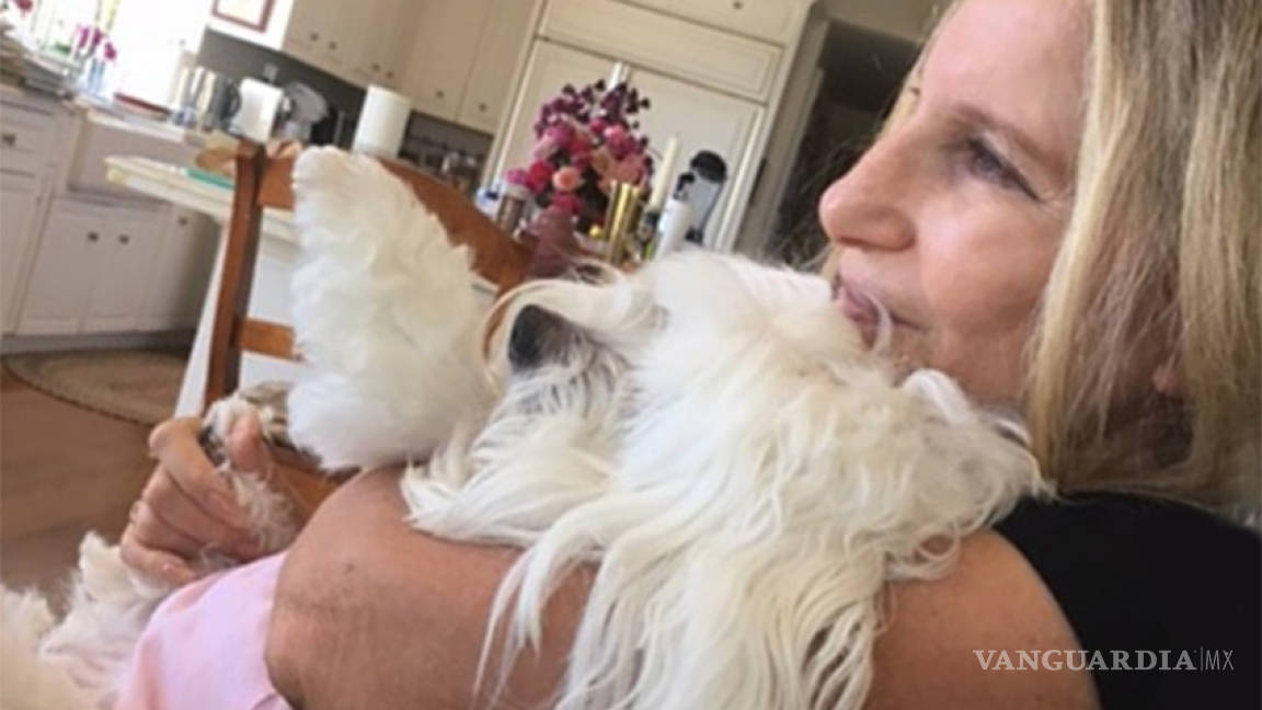 Barbra Streisand amó tanto a su perra que la clonó dos veces