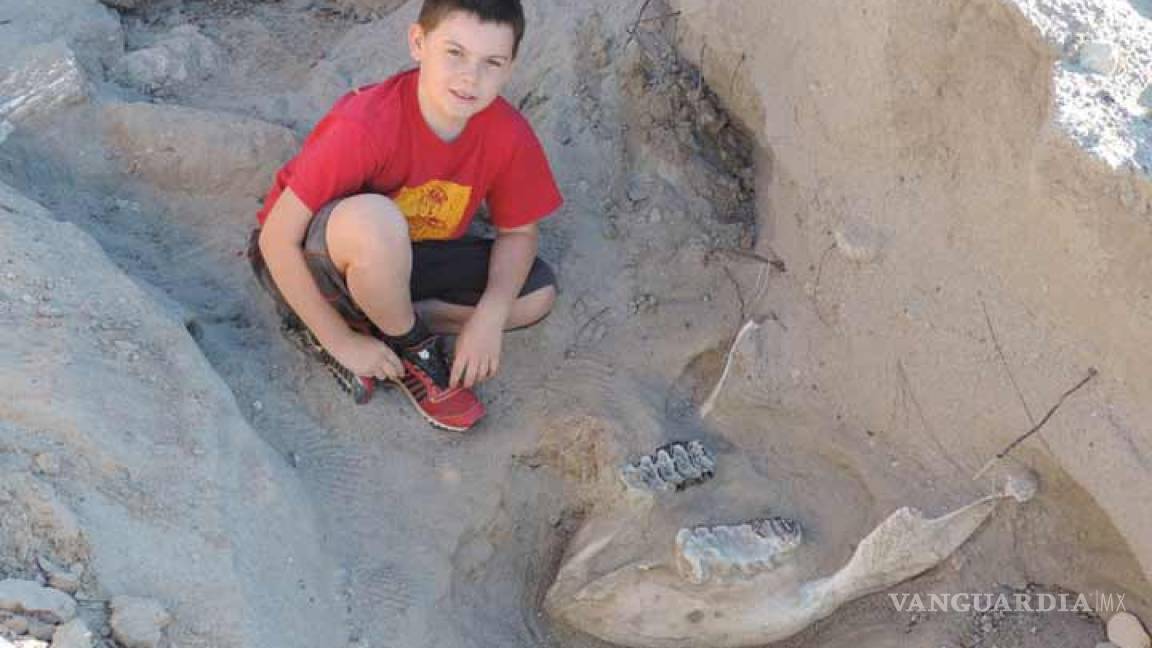 Niño encuentra por accidente fósil de 1.2 millones de años