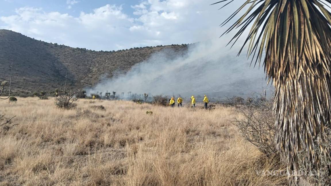 $!El incendio avanza entre pastizales secos; las ráfagas de viento dificultan las labores.