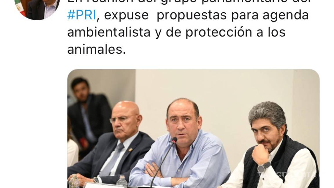 Llama Guadiana a Rubén Moreira ‘animal’ en Twitter