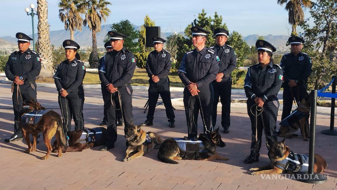 $!Unidad K-9 de la Policía Municipal de Saltillo participó en operativos de búsqueda y detección de sustancias ilícitas.