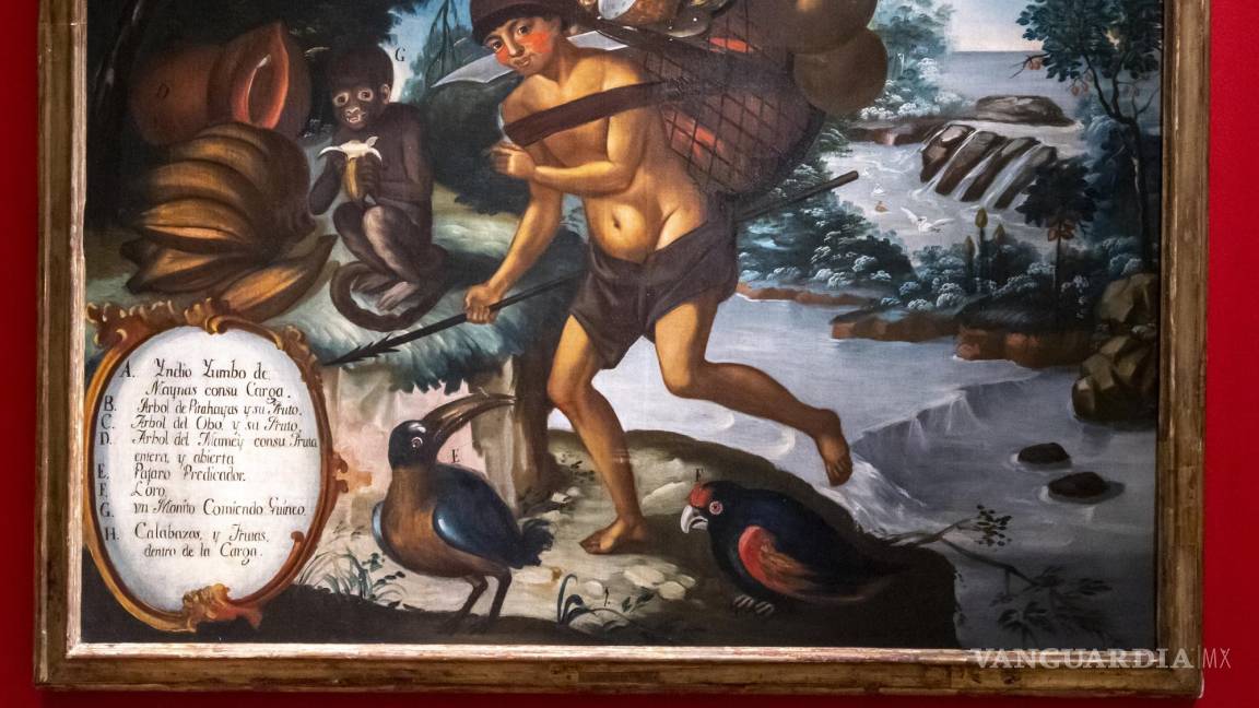 Reabre la “Galería de Castas” en el Museo de Historia Mexicana en Monterrey