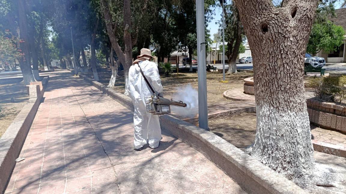 Salud Municipal mantiene acciones contra moscos y garrapatas en Torreón