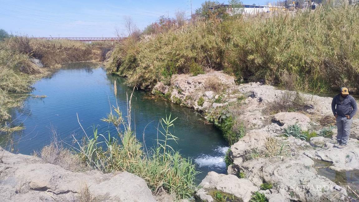 Tortugas calcinadas: El daño de los incendios en el Río Monclova