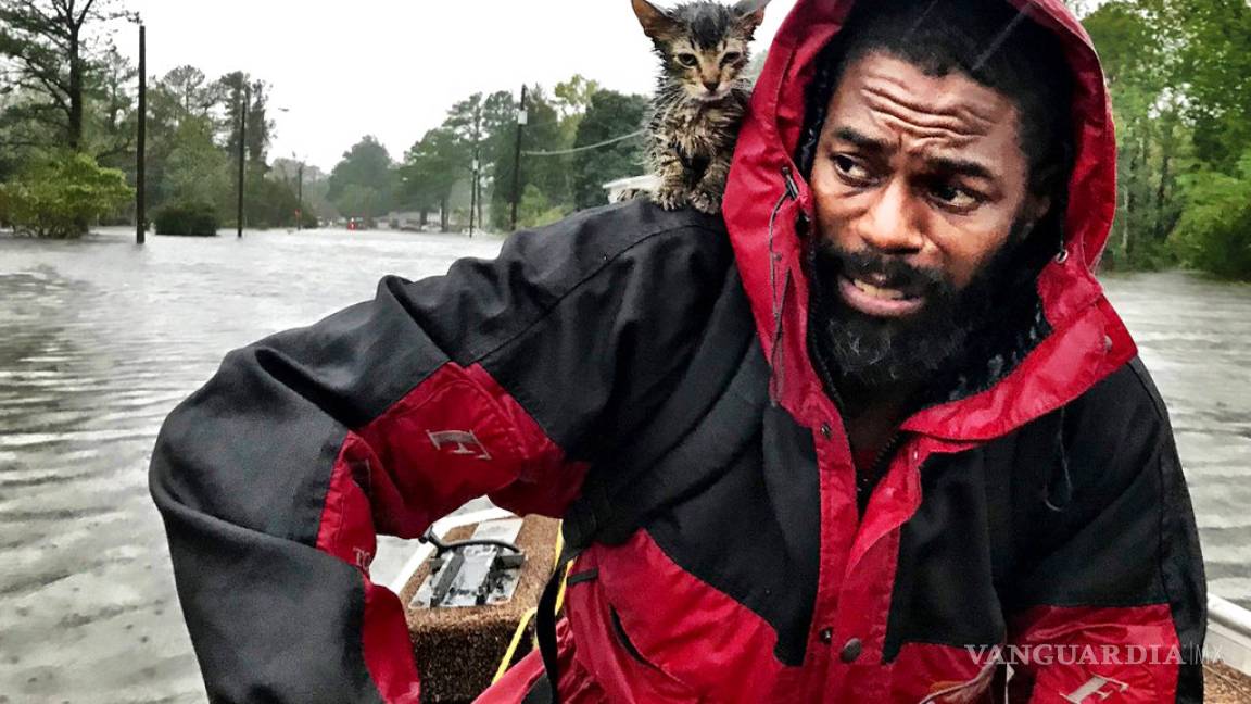Nombran 'sobreviviente' a gatito rescatado, junto a su propietario, del huracán Florence