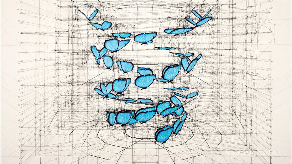 $!Fibonacci para colorear