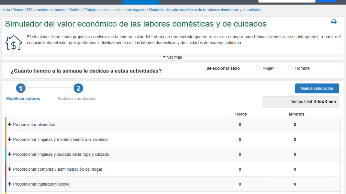 $!Simulador del INEGI revela el verdadero valor económico de labores domésticas y de cuidado