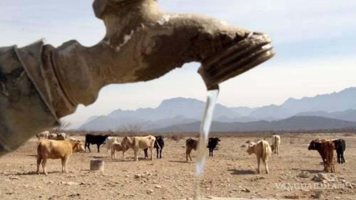 Sufre Coahuila sequía severa y se complica búsqueda de nuevas fuentes: CEAS