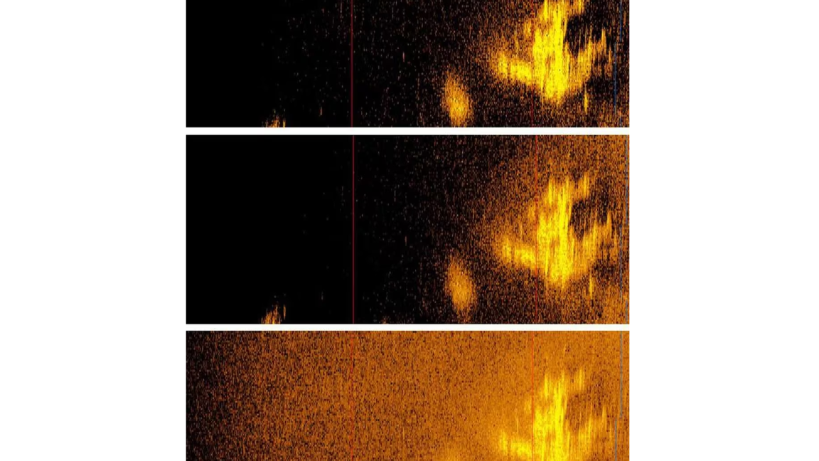 $!La imagen de sonar