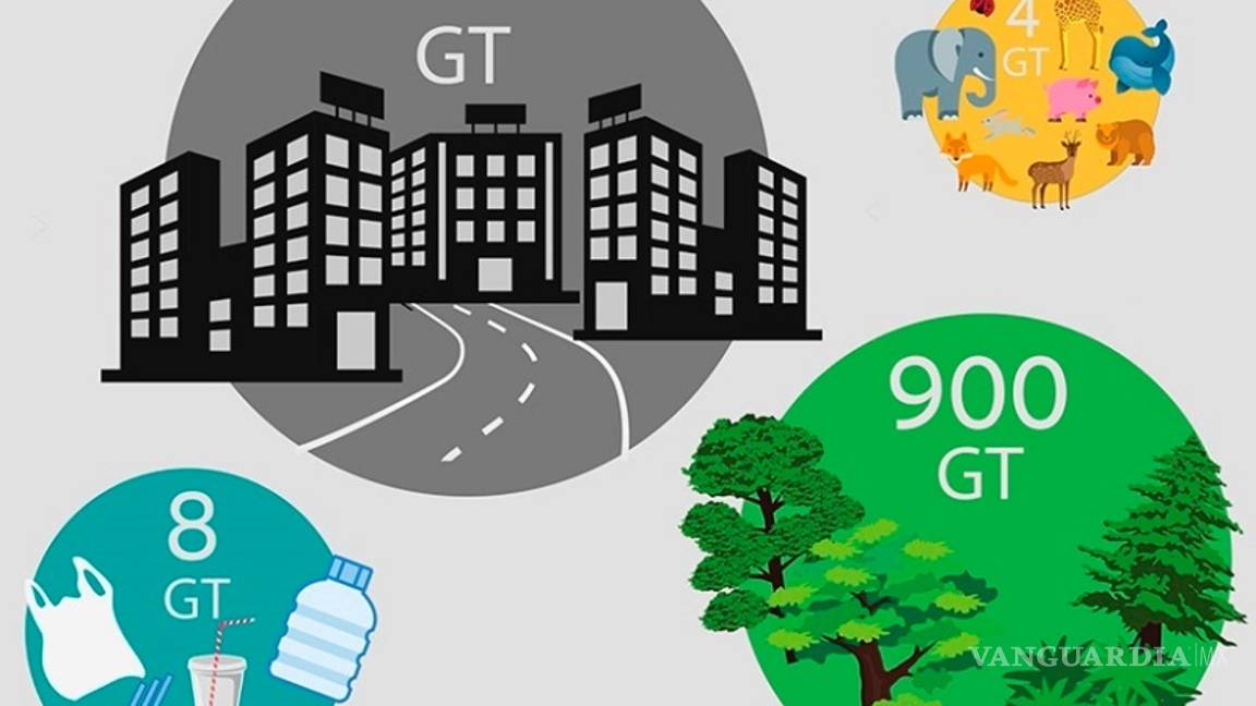 $!En el 2021 habrá mas edificios que árboles, según el Instituto Weizmann de Ciencias