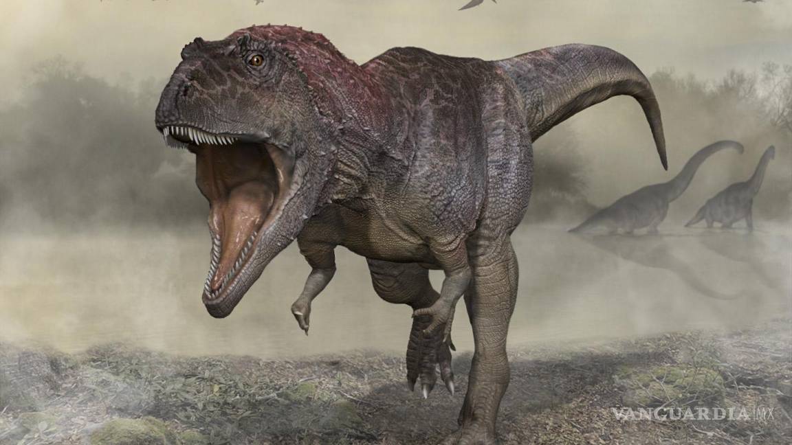 Meraxes gigas, un nuevo dinosaurio gigante encontrado en Argentina