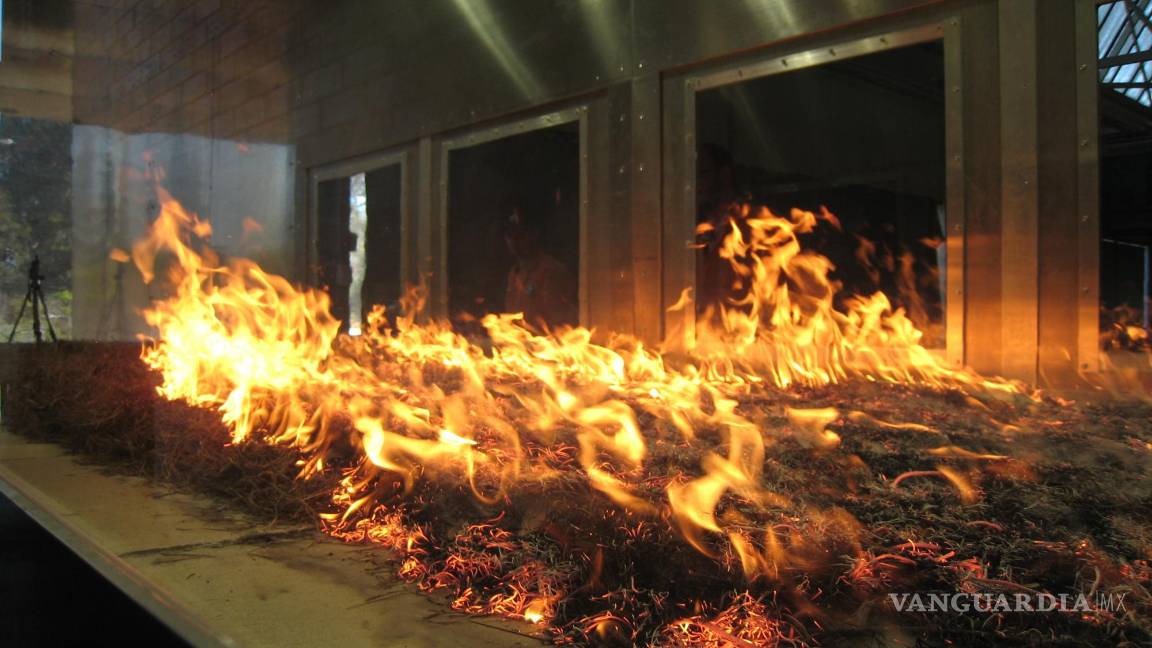 $!Pyrotron en el Laboratorio Nacional de Investigación del Comportamiento de Incendios Forestales en Black Mountain, Canberra.