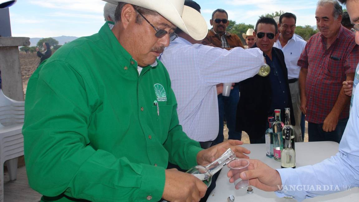 México, tierra fértil para el cultivo de maguey para mezcal