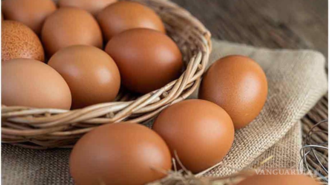 Coahuila: ¿Por qué incluir el huevo en la dieta diaria?