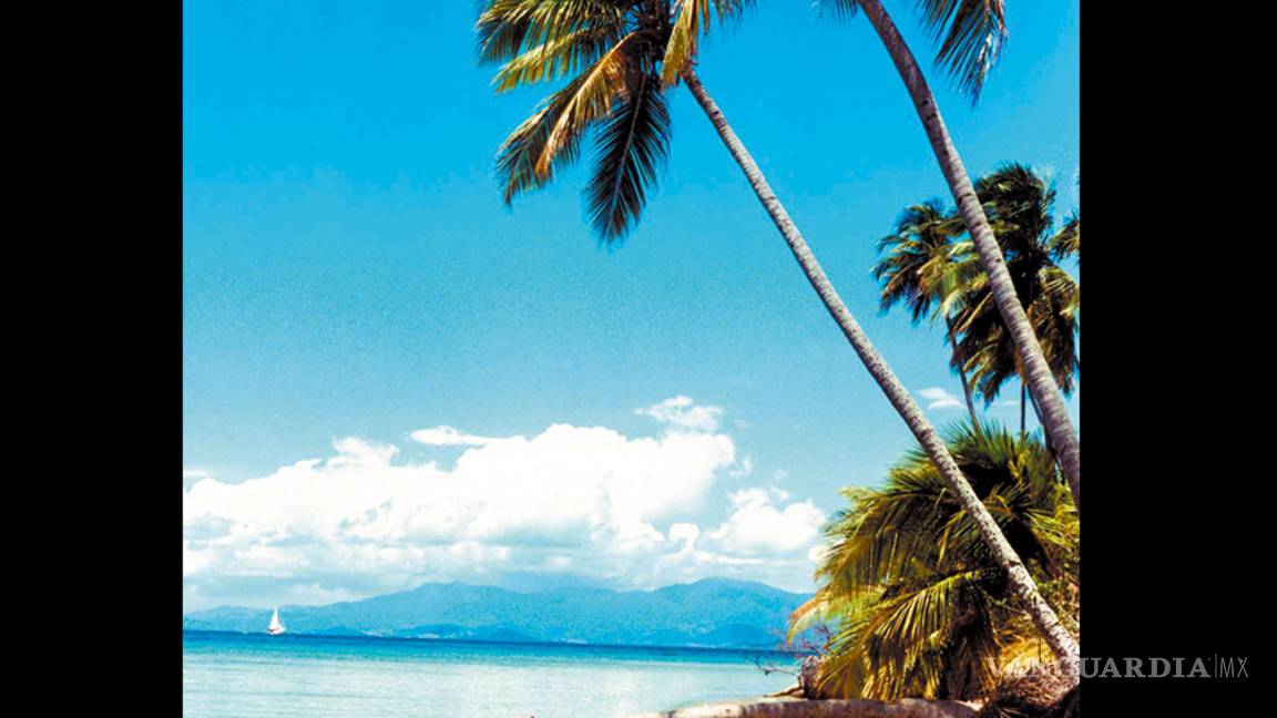 $!Puerto Rico y sus bahías bioluminiscentes