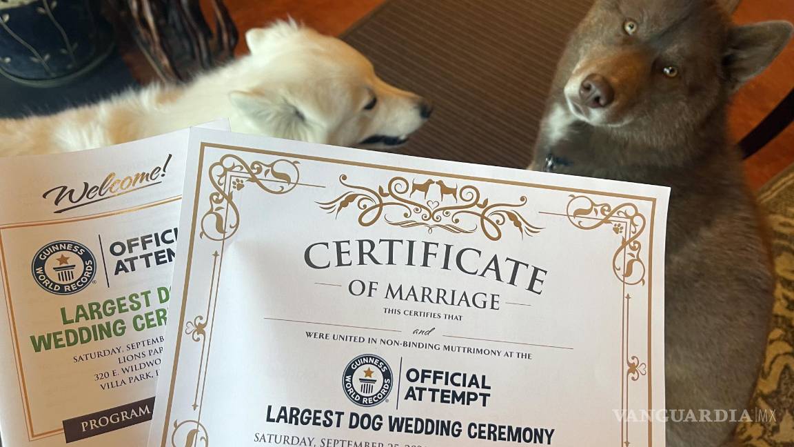 $!Fotografía donde se aprecia a dos perros junto con sus certificados de matrimonio casados durante una fiesta celebrada en Villa Park, Illinois.