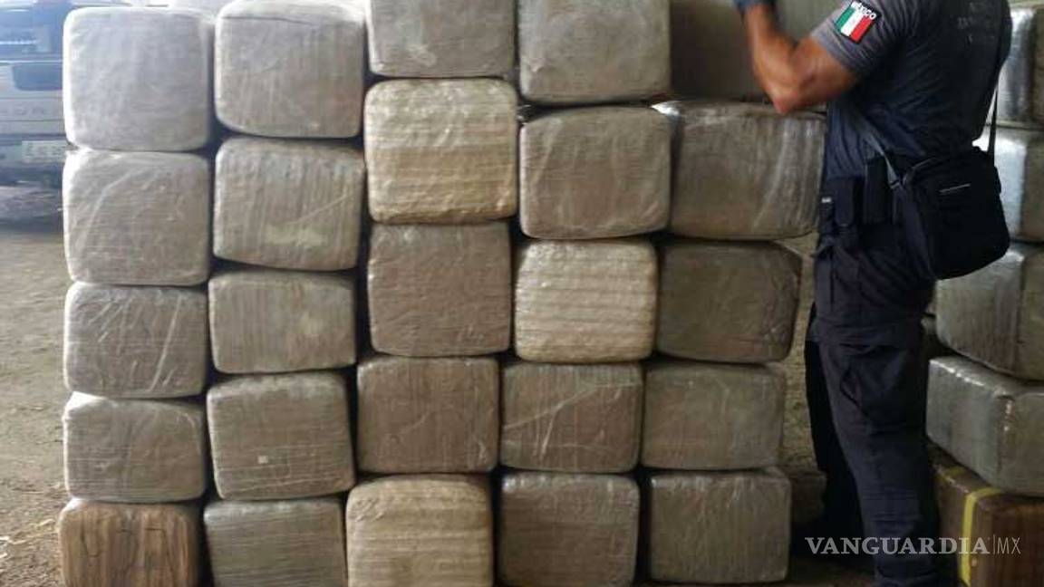 $!Marina y PGR destruyen 16 toneladas de mariguana