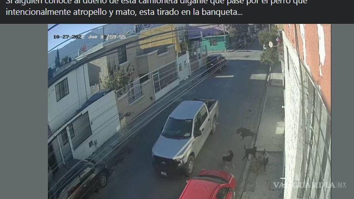 $!Saltillo: vecinos buscan a conductor que atropelló (y mató) intencionalmente a perrito (video)