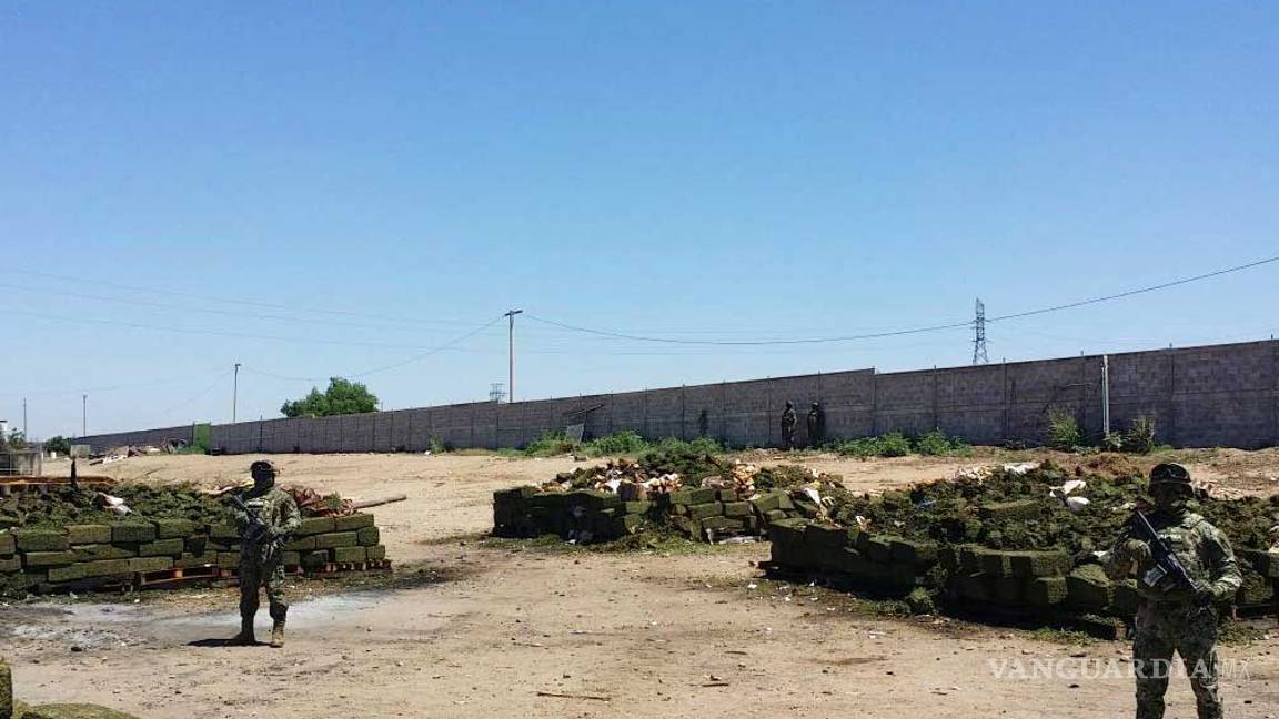 $!Marina y PGR destruyen 16 toneladas de mariguana