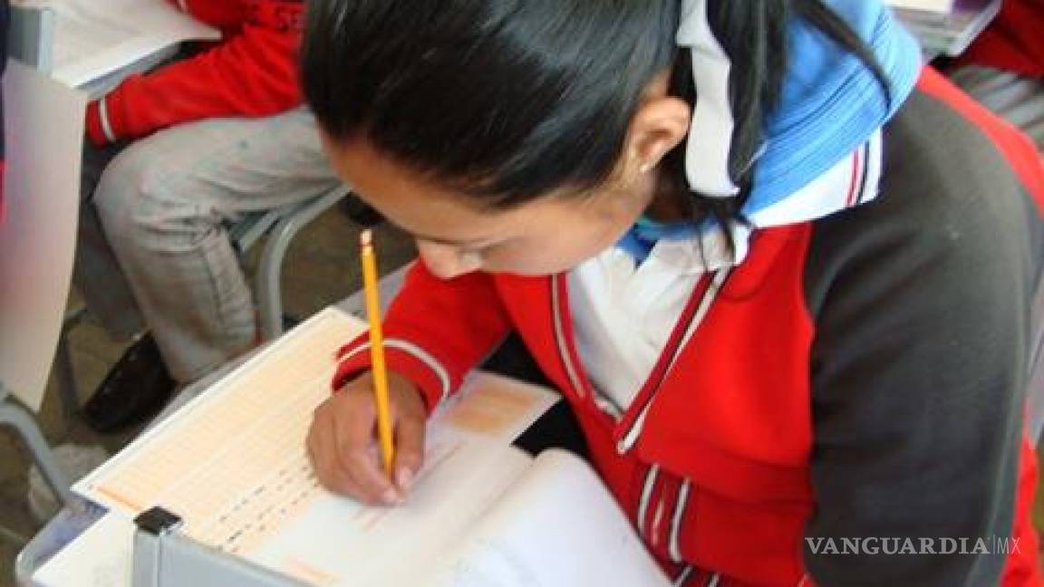 Casi la mitad de los estudiantes mexicanos no alcanza niveles mínimos, afirma la OCDE