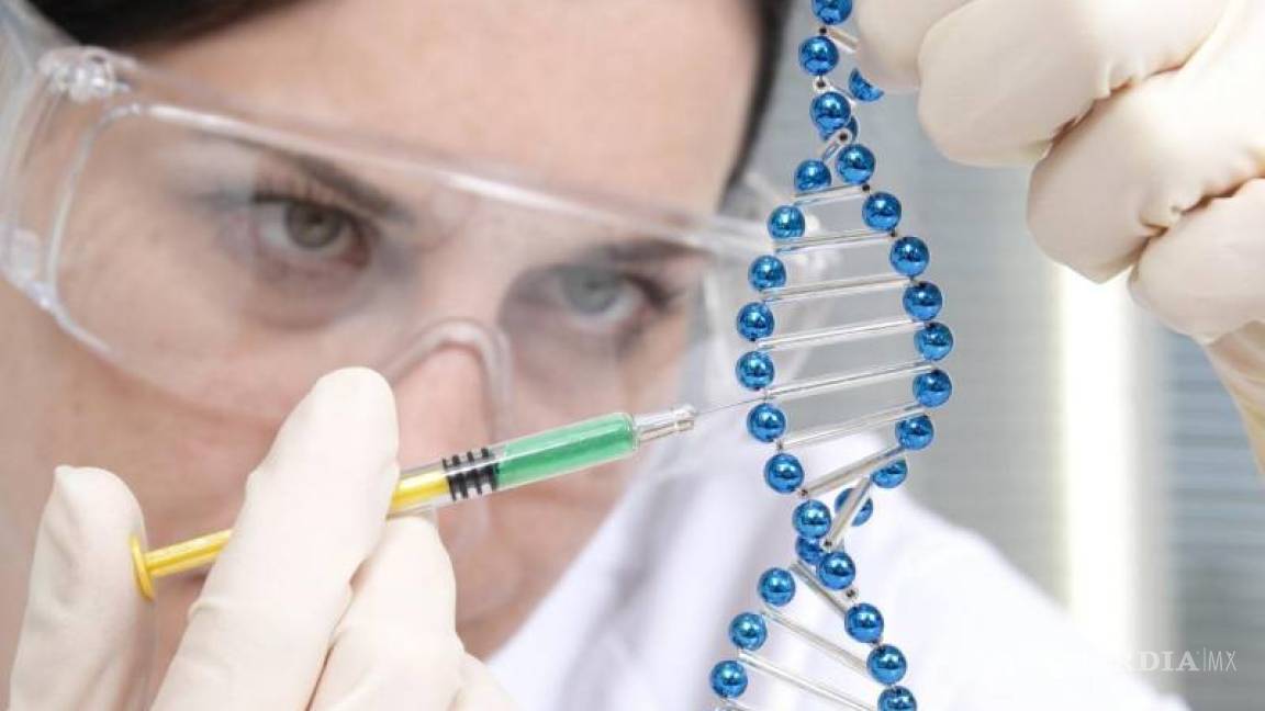 $!Guía práctica para ganar un Nobel científico