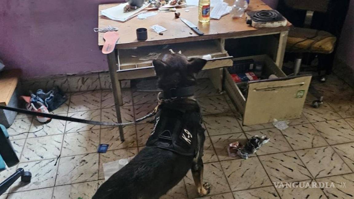 $!Cateo en viviendas en NL deja dos detenidos, aseguran armas y drogas