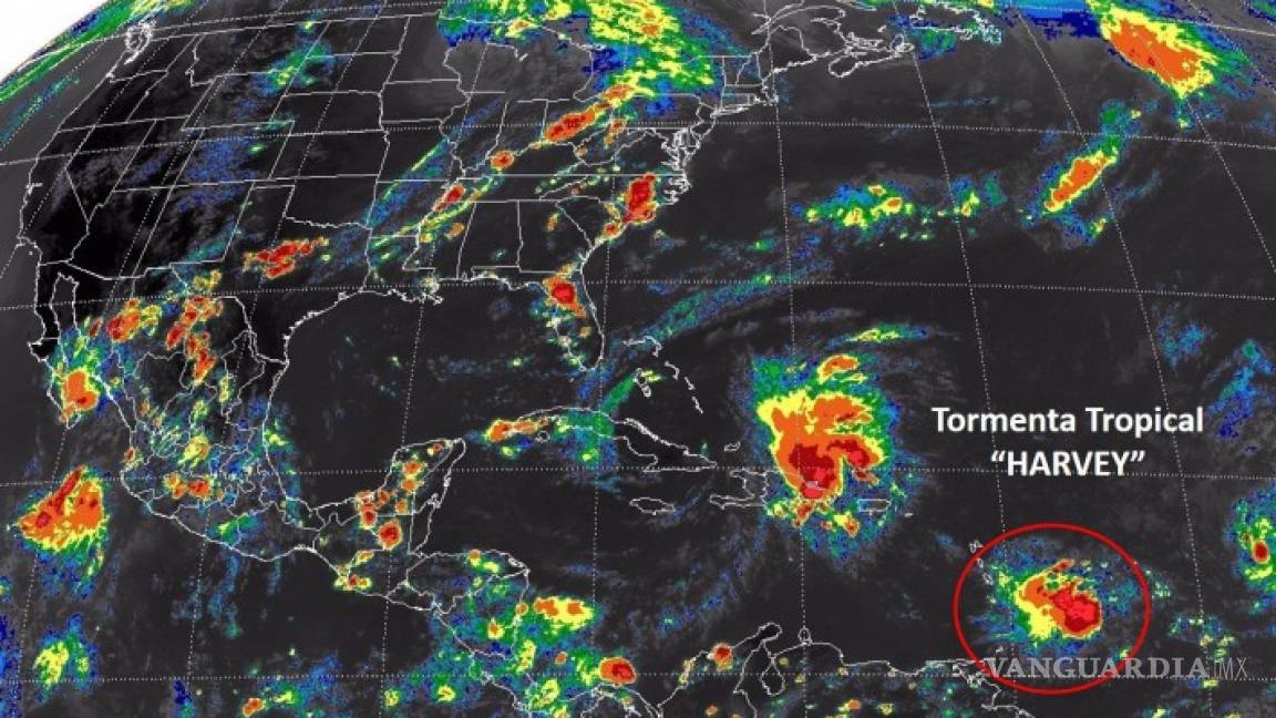 Alerta en Quintana Roo por tormenta Harvey