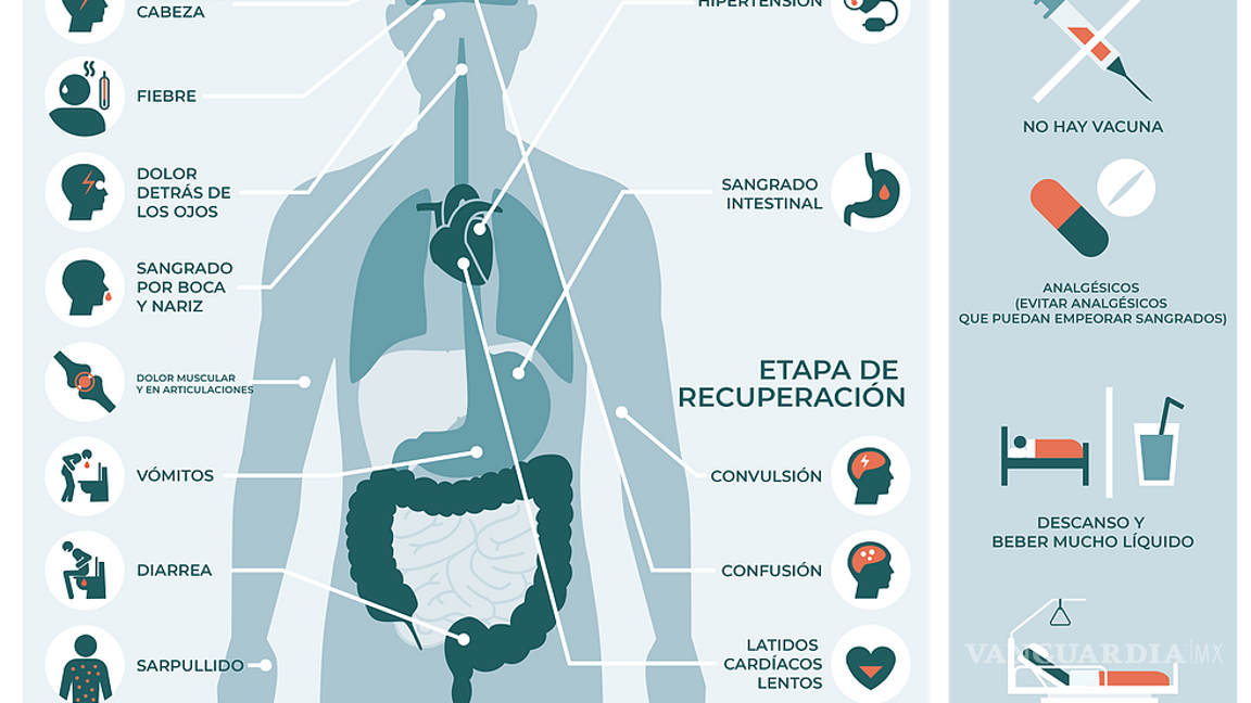 $!Coahuila suma 34 casos de dengue; tres se reportan graves