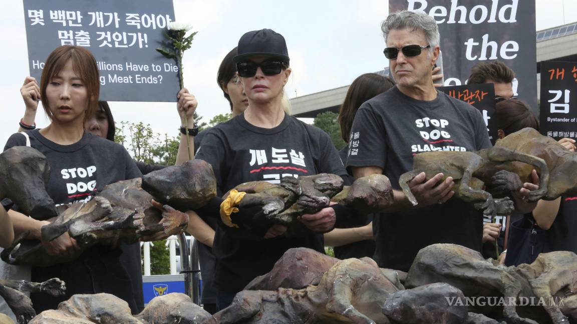 Kim Basinger protesta consumo de carne de perro en Corea del Sur