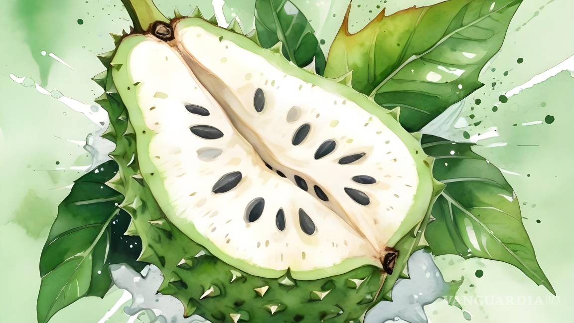 $!La guanábana es un fruto tropical que ha ganado popularidad en planes de alimentación.