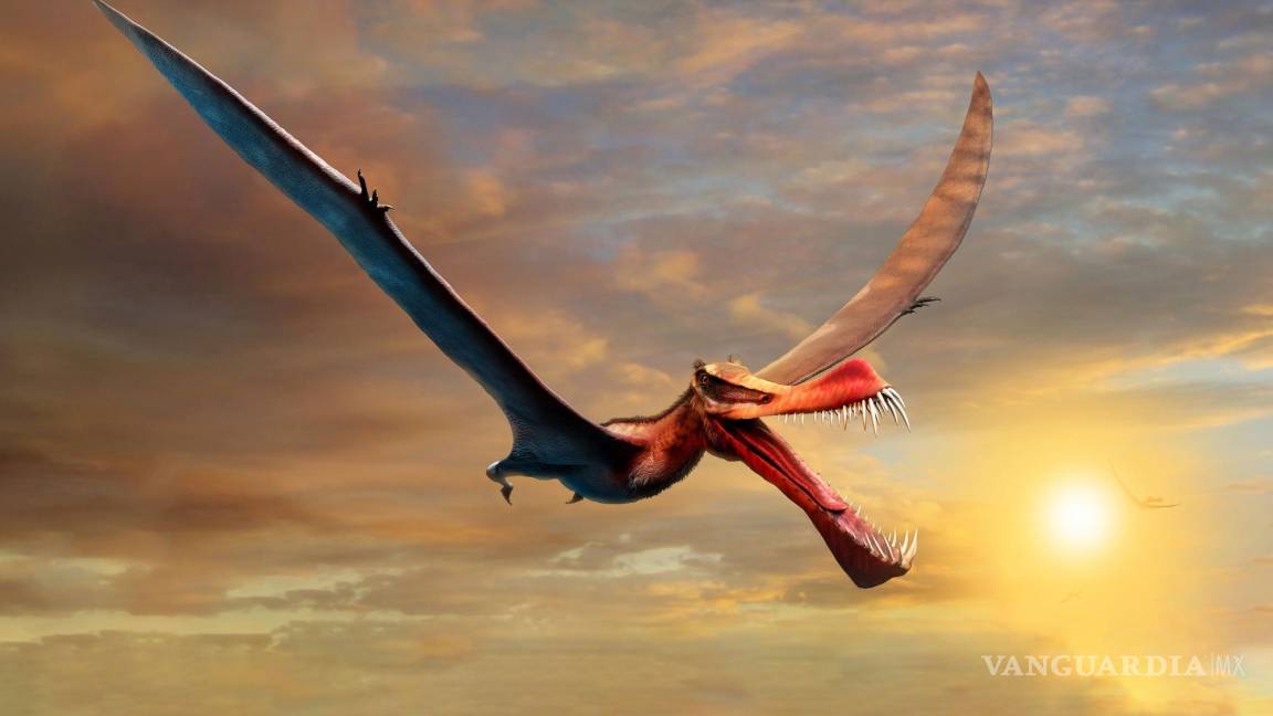 Conoce al pterosaurio Thapunngaka shawi, el dragón prehistórico