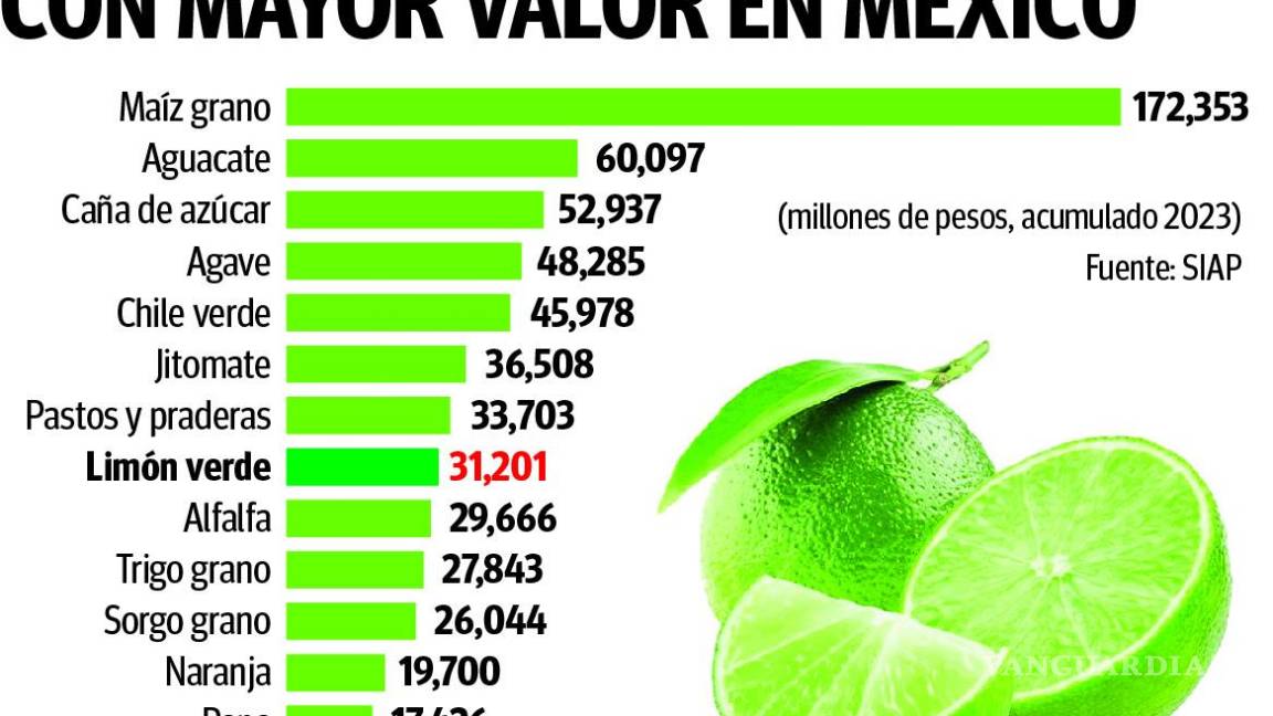 $!Limón se vuelve ‘más agrio’ ante alza de precios provocada por hechos de inseguridad