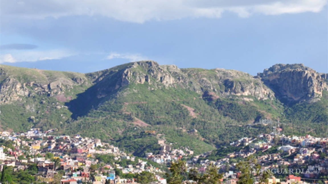 Liberan aves en cerros disputados de Guanajuato