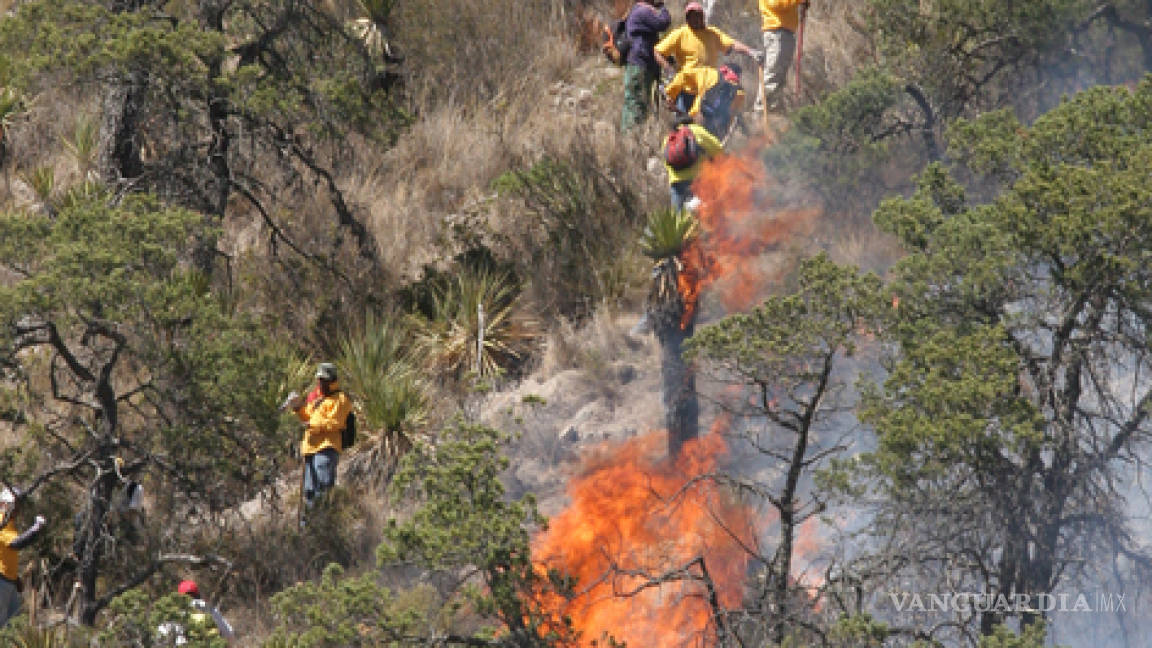 Vientos dificultan combate de incendios en Coahuila: Gurza