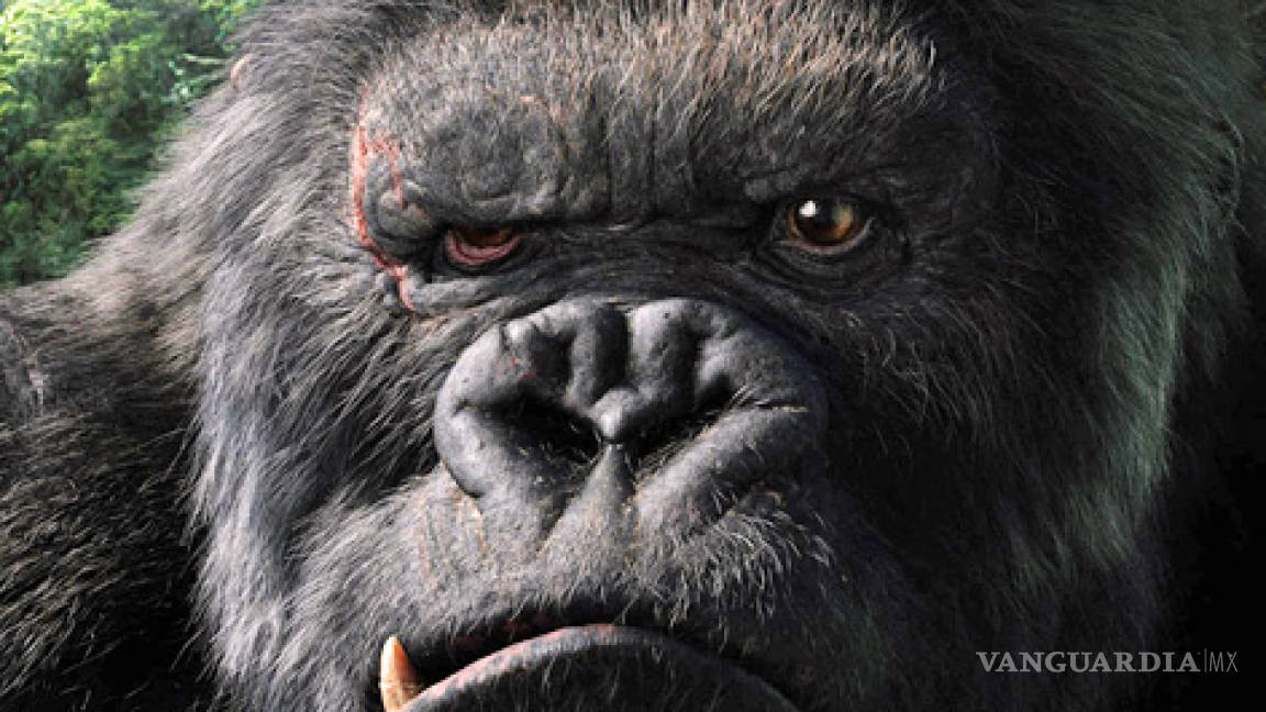 Peter Jackson traerá de vuelta a King Kong y en 3D
