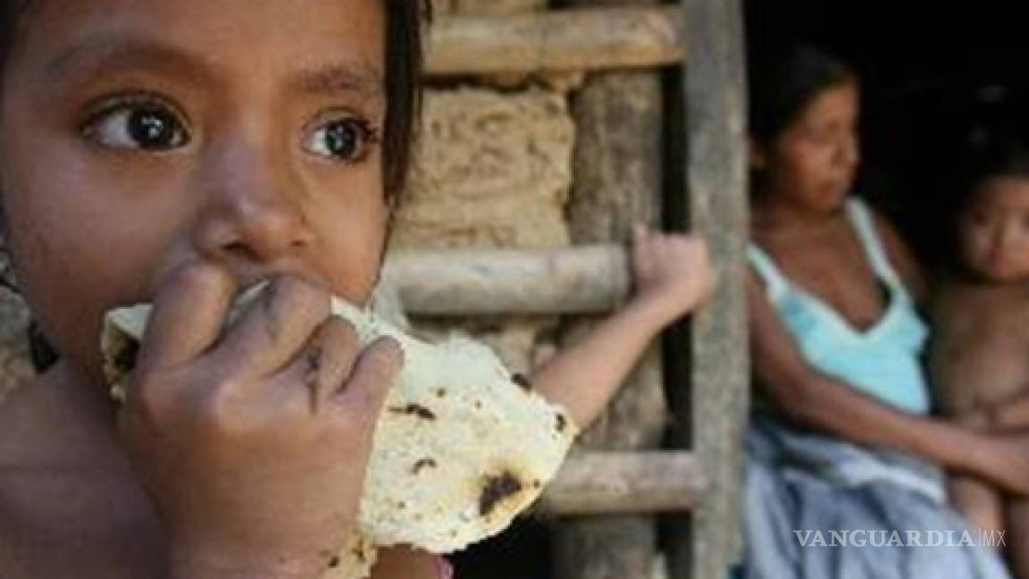 Casi 29 millones de mexicanos no pueden cubrir los tres alimentos del día: Red BAMX