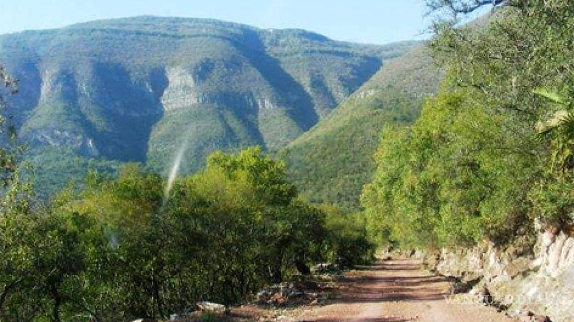 Sicarios secuestran &lt;EM&gt;El Cielo &lt;/EM&gt;en Tamaulipas