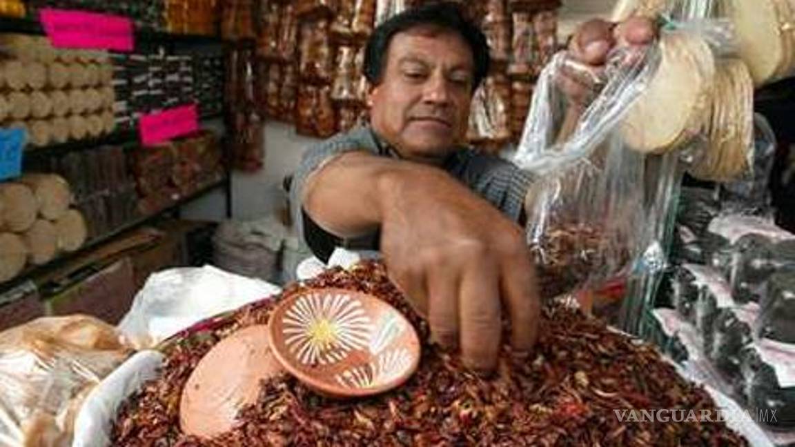 Se comercializan 95 especies de insectos en México, pero sin control de calidad: entomóloga