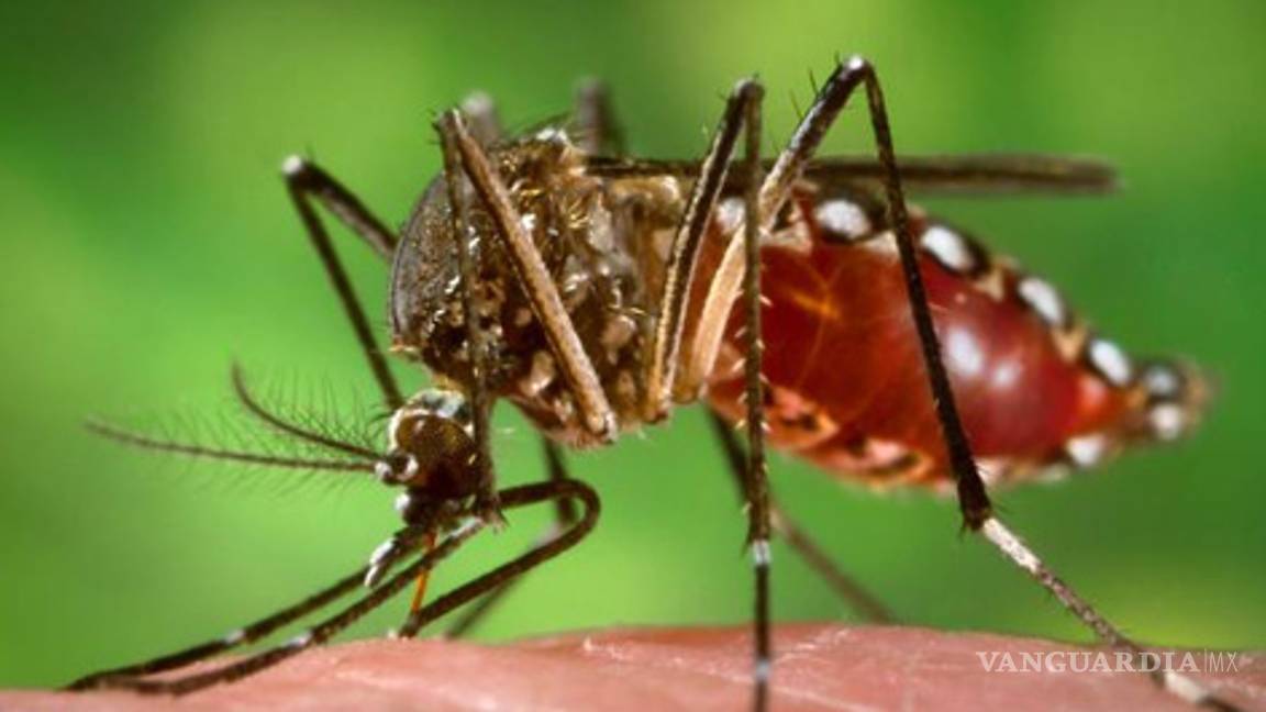 Acata Guerrero alerta de Ssa sobre dengue