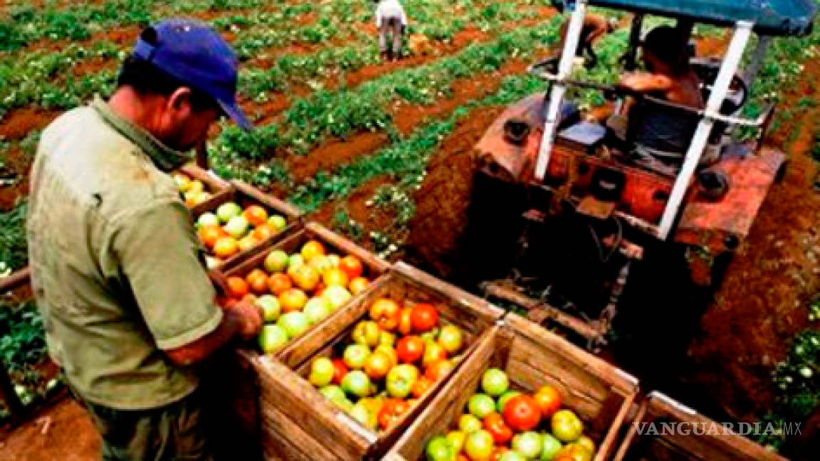 En 30 años, México importará 80% de los alimentos: ONU