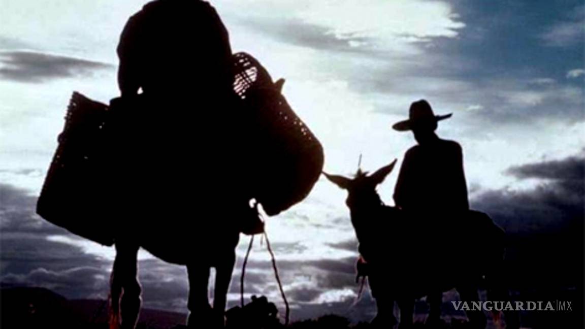 Campesinos de Zacatecas, &quot;al borde de la hambruna&quot;