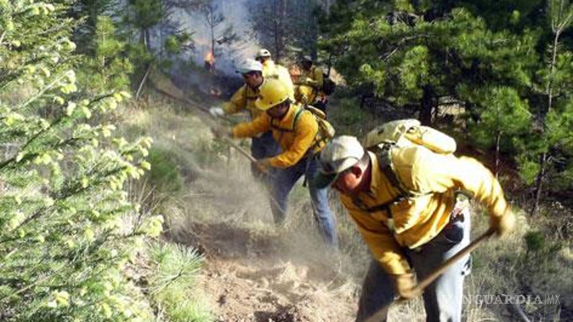 Incendios dañan 75 mil hectáreas en Sonora