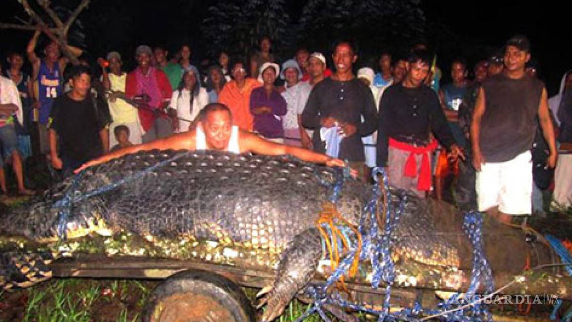 Cocodrilo gigante se niega a comer por estrés