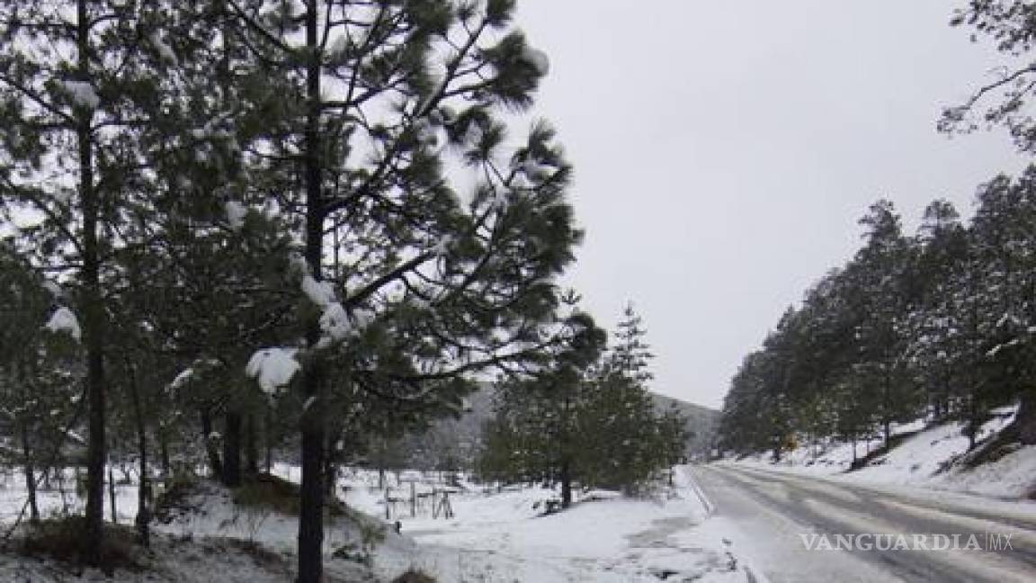 En Arteaga, la primera nevada del año en Coahuila