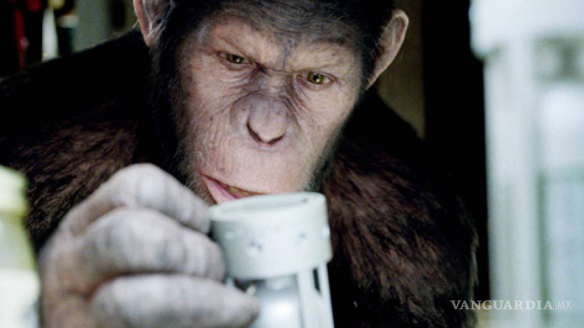 ¿Un simio podría ganar el Oscar?